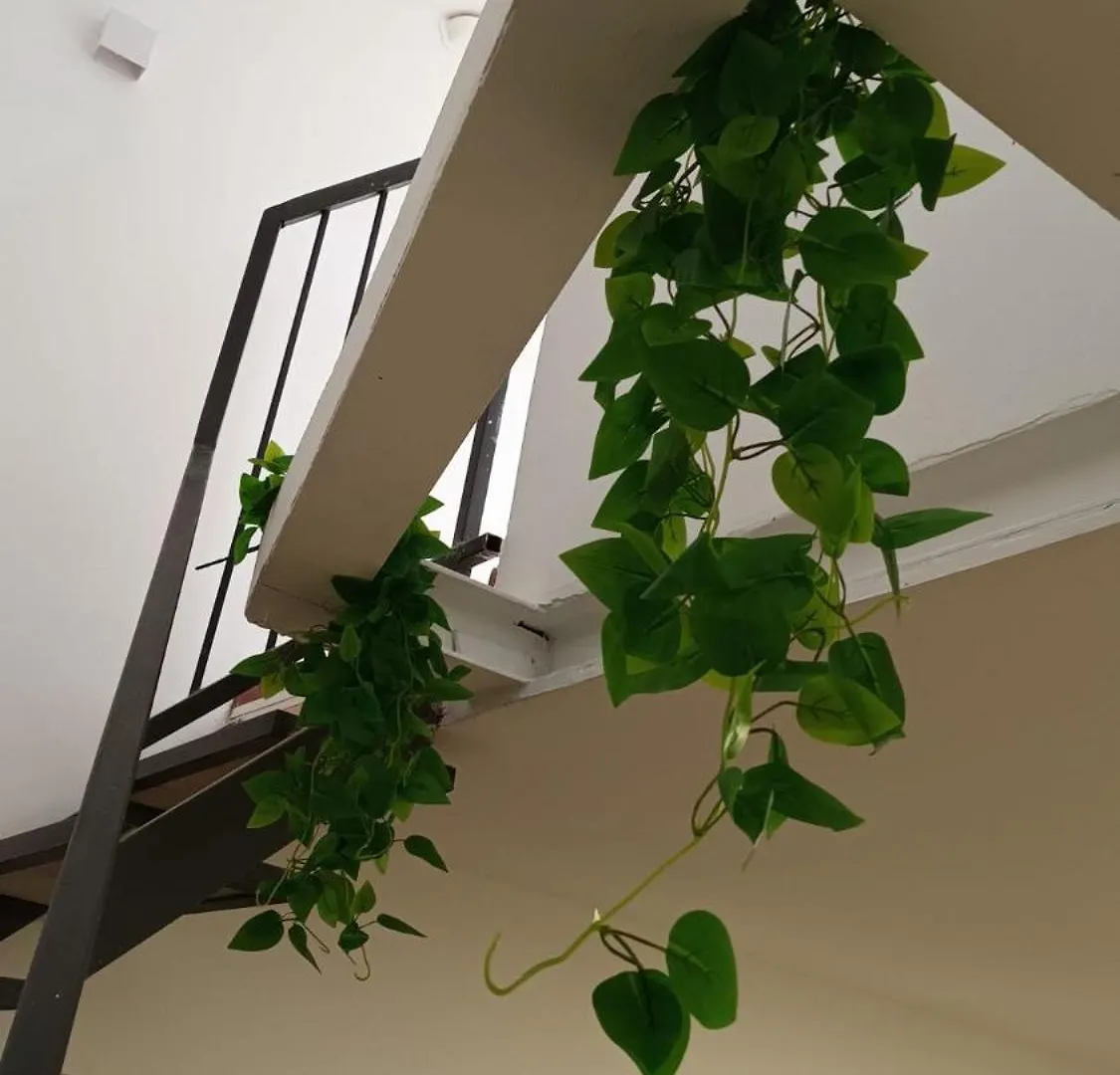 Casa N 1 Con Parcheggio Privato E Colonnina Ricarica Apartment Livorno